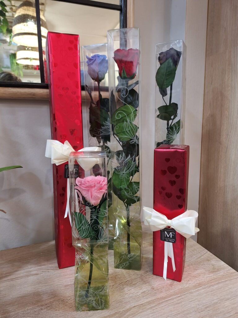 Colección rosas eternas