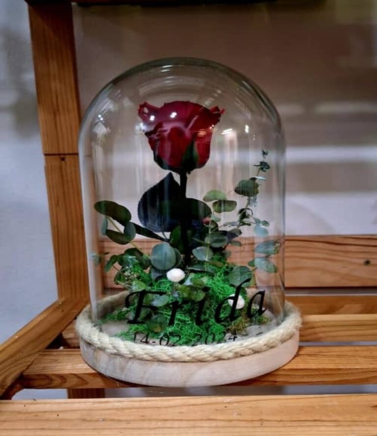 Cupula rosa eterna personalizable